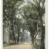 Temple Street, New Haven, Conn.
