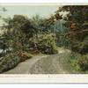 Lake Shore Road, Lake Mohonk, N. Y.