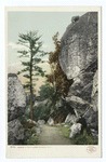 Along a Path, Lake Mohonk, N. Y.