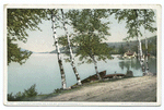 The Birches at Oak Birch Inn, Alton Bay, Lake Winnipesaukee, N. H.