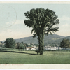 Glimpse of Center Harbor, Centre Harbor, Lake Winnipesaukee, N. H.