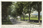 Meredith Road, Centre Harbor, Lake Winnipesaukee, N. H.