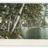 Aditondack Mountain Camp, Saranac Lakes, N. Y.