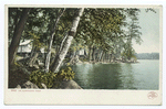Aditondack Mountain Camp, Saranac Lakes, N. Y.