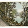 Roadway, Adirondacks, N. Y.