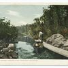 Martin's Channel, Saranac Lakes, N. Y.