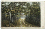 An Autumn Scene, Mackinac Island, Mich.