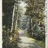 Leslie Avenue, Mackinac Island, Mich.