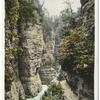 Column Rocks from Below, Au Sable Chasm, N. Y.