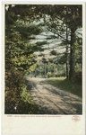 Cross Roads to Spot Pond, Malden, Mass.