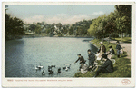 Feeding the Ducks, Fellsmere Reservoir, Malden, Mass.