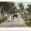 In the Grounds, Royal Poinciana, Palm Beach, Fla.