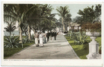 In the Grounds, Royal Poinciana, Palm Beach, Fla.