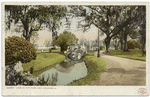 View in City Park, New Orleans, La.