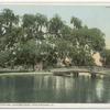 Audubon Park, Washington Oak, New Orleans, La.