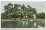 Audubon Park, Washington Oak, New Orleans, La.
