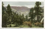Bear Creek Mountain, View from Drive, Colorado Springs, Colo.