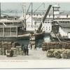 Unloading Cotton at Levee, Memphis, Tenn.