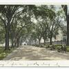 Beacon Street Mall, Boston, Mass.
