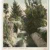 Irrigation Canal, Riverside, Calif.