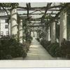 Pergola, Hotel Maryland, Pasadena, Calif.