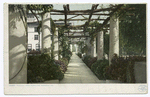 Pergola, Hotel Maryland, Pasadena, Calif.