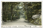 Road to Manchester, Magnolia, Mass.