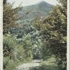 On the Road to Mt. Pico, Rutland, Vt.