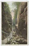 Flume, Looking up, Franconia Notch, N. H.