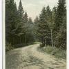 On the Road from Crawfords to Bretton Woods, White Mountains, N. H.