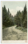 On the Road from Crawfords to Bretton Woods, White Mountains, N. H.