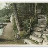 Walk around Saco Lake, White Mountains, N. H.