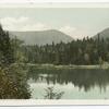 Ammonoosuc, Lake, White Mtns., N. H.