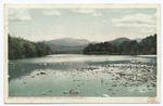 Mt. Washington, from The Saco, North Conway, White Mountains, N. H.