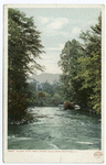 Wildcat River, above Jackson Falls, White Mountains, N. H.