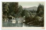 Ammonoosuc River and Mt. Washington, White Mountains, N. H.