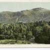 Mt. Washington from Twin Rivers, White Mountains, N. H.