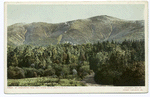 Mt. Washington from Twin Rivers, White Mountains, N. H.