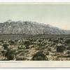 The Sandia Mountains, Albuquerque, N. M.