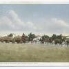 Five Team of Wagon, San Joaquim Valley, Calif.