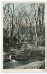 Rocks and Birches, Berkshire Hills, Mass.