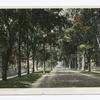 Brinkerhoff Street, Plattsburg, N.Y.