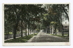 Brinkerhoff Street, Plattsburg, N.Y.