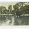 Lake in the Zoo, Fairmount Park, Philadelphia, Pa.