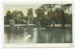 Lake in the Zoo, Fairmount Park, Philadelphia, Pa.