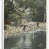 Trout Fishing, Catskill Mountains, N.Y.