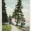 The Shore Path, Mt. Desert Island, Bar Harbor, Me.