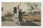 Drying Peaches at Isleta, New Mexico