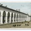Central Market and the Buzzards, Charleston, S.C.