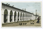 Central Market and the Buzzards, Charleston, S.C.
